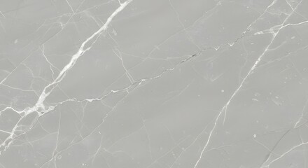 Subtle Grey Marble Texture with Delicate White Veining and Natural Cracks.