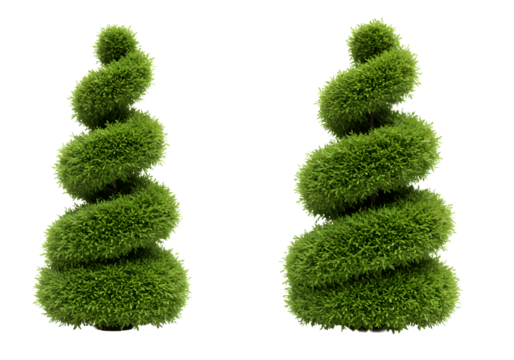 Elegant spiral topiary trees add refined greenery to your landscape design, perfect for gardens, patios, and sophisticated outdoor decor projects