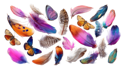 Vibrant feathers and butterflies