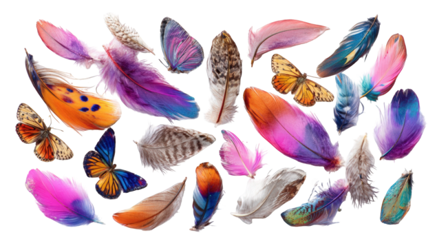Vibrant feathers and butterflies - Powered by Adobe