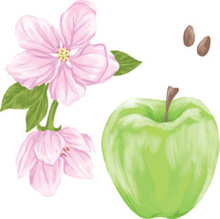 Green Apple Fruit and Flower Botanical Digital Painting Illustration