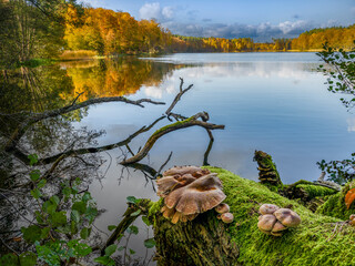 jezioro © LoveNature<3