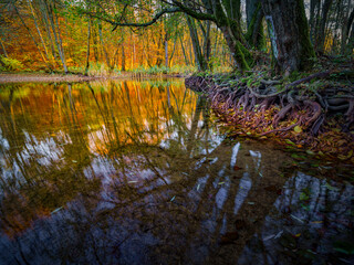 rzeka © LoveNature<3