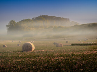 mgła © LoveNature<3