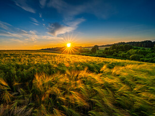 łąka © LoveNature<3