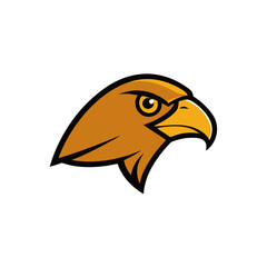 eagle head isolated on white
