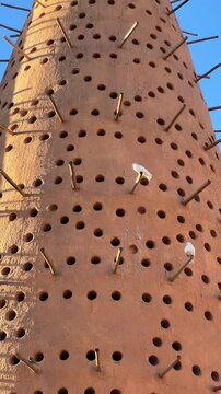 popular dovecote in doha qatar with flying pigeons and blue sky