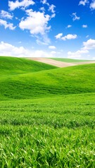 Fototapeta premium Lush green fields with a vibrant blue sky