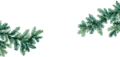 Watercolor frame of fir tree needles. Coniferous tree branch on a white isolated background. Border for winter, Christmas and New Year designs. Natural winter clipart. © Narin