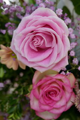 Two pink roses in a bouquet.