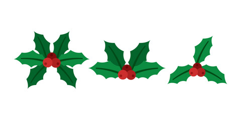 Christmas Holly Bundle with Green Leaves and Red Berries for Festive Holiday Decoration Design