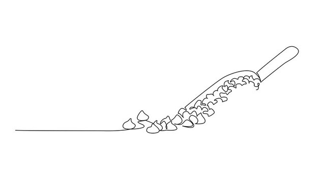 Animated self drawing of continuous line drawing choco chips are on top of the scoop and there are also some scattered around. Fresh. National Chocolate Chip Day. Full length single line animation
