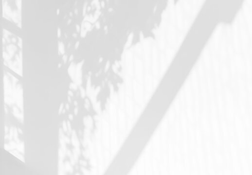 Isolated shadows overlay on transparent background. Black shadow brush of trees and leaves through a window. Generative ai