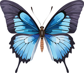 Butterfly vector icon on white background.