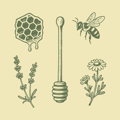 Hand-drawn illustrations of a honey dipper, bee, honeycomb, lavender, and chamomile in a vintage sketch style on a pastel background