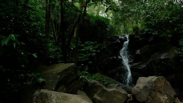waterfall in the forest