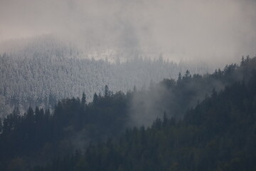 Obraz premium Carpathian Mountains with Autumn Forest and Snowy Peaks