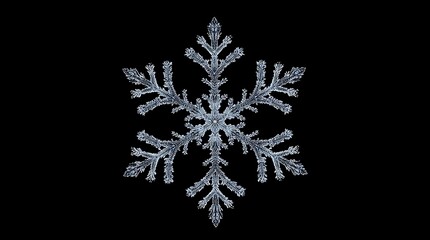 christmas snowflake on black