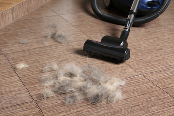 Close-up of lots of dog or cats hair on the tiled floor. With a vacuum cleaner in the background.