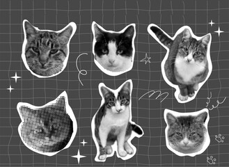 Cat halftone collage sticker set, trendy retro y2k pet, funky emoticon animal, pop aesthetic pink background. Meme head with speech bubble. Funny kitty.