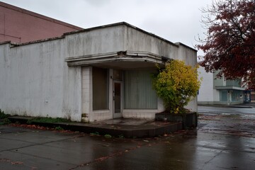 Fototapeta premium Commercial Gutters: Vacant Corner of an Aged Building with Bushes and Columns