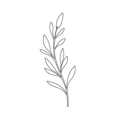 Fototapeta premium Minimalist line art of a delicate plant stem with leaves.