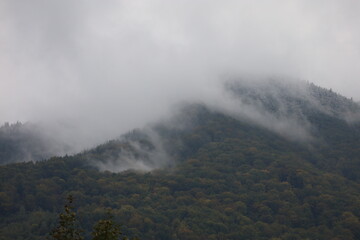 Fototapeta premium Foggy Autumn-to Winter Carpathian Landscape .