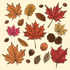 Obraz premium Spring Season Dry Leaves Clipart Illustration Set