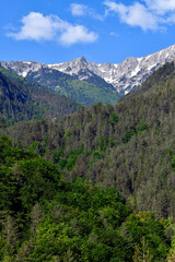 Obraz premium Der Olymp (Ólympos), das höchste Gebirgsmassiv Griechenlands