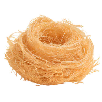 Close up of a single kataifi pastry nest studio shot on transparent background