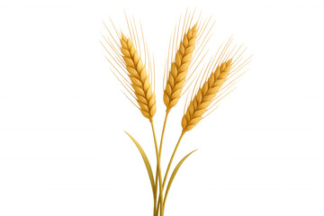 Fototapeta premium Golden wheat ears representing agriculture, food, and harvest. Healthy grain spikelets growing for bread production