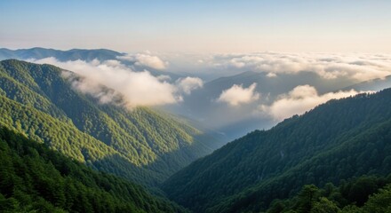 Naklejka premium Misty mountain valley sunrise with lush green slopes and clouds