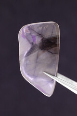 Sugilite jewel stone texture in tweezers on dark background. Macro closeup.