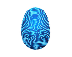Blue digital fingerprint icon for biometric technology and security. This futuristic clipart represents identity, access, and authentication on transparent background