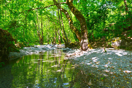Die Enipeas-Schlucht oberhalb von Litochoro, Griechenland