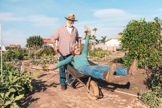 Senior couple having fun in garden, man pushing woman sitting in wheelbarrow laughing together - Powered by Adobe