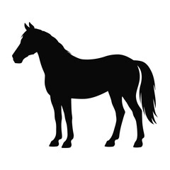 Obraz premium Horse Silhouette Vector Art Download: Black Equine Stencil Graphic