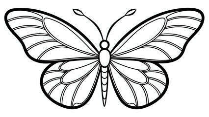 Fototapeta premium black and white butterfly ,hand drawn illustration outline isolated on white background