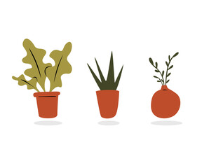 Set of Three Minimalist Indoor House Plants Vector Illustration