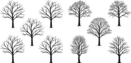 Collection of bare deciduous trees silhouetted against a white canvas creating a winter forest scene