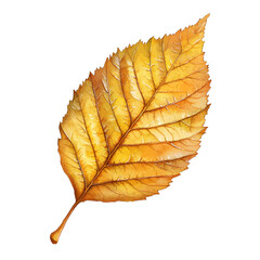 Watercolor Autumn Leaf Clipart: Single Yellow Fall Foliage Illustration
