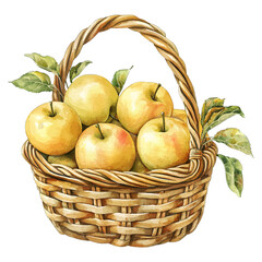 Watercolor Basket of Apples Clipart: Rustic Harvest Fruit Illustration
