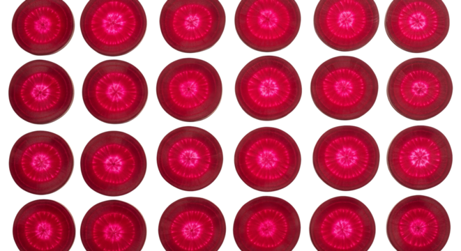 Rows of sliced red radishes form a patterned array with concentric rings against a dark .