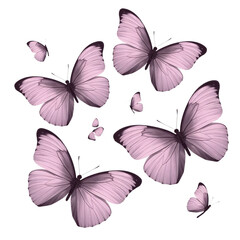 A collection of watercolor butterflies and flowers in shades of purple and pink.
