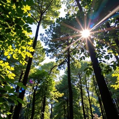 Obraz premium Dense forest canopy with bright dappled sunlight filtering through leaves, foliage, illumination, natural light