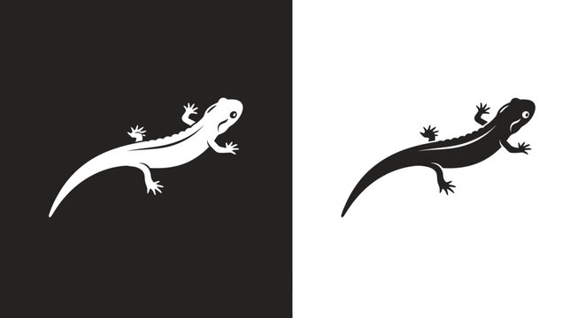 Simple black and white lizard salamander silhouette vector illustration.