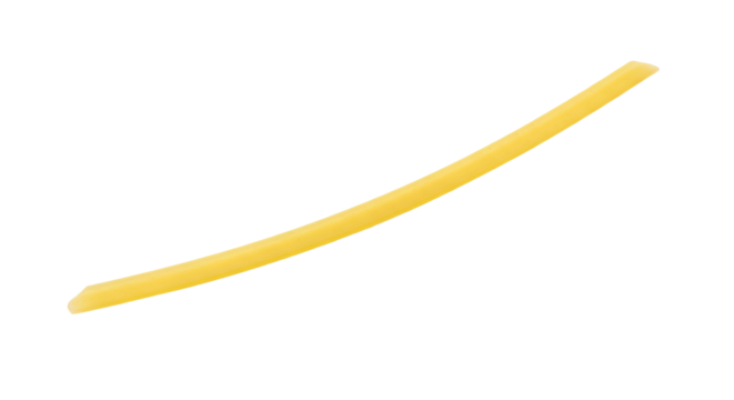 Single strand of bucatini pasta curves slightly against a background, showing smooth texture and tapered ends.