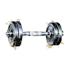 Watercolor Dumbbell with Weights and Textured Handle on White watercolor illutrastion transparent background