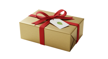 Wrapped present sits with red ribbon and attached tag showing a green leaf symbol.