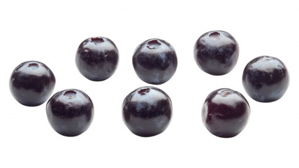 Eight blueberries arranged on a plain black background view